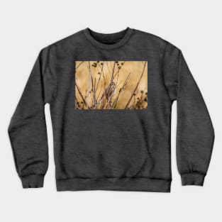 Sparrow Blending In With Its Winter Habitat Crewneck Sweatshirt